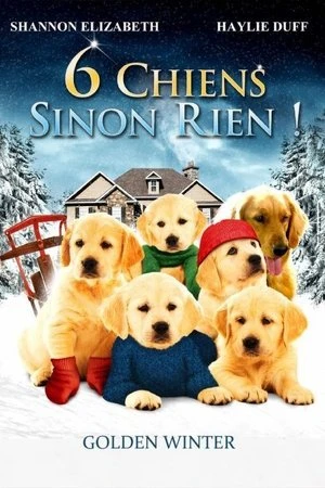Regarder Un Noël de rêve en streaming complet