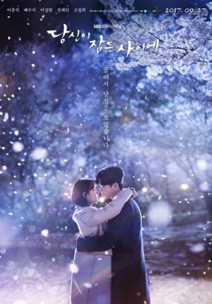  While You Were Sleeping - Saison 1 affiche 