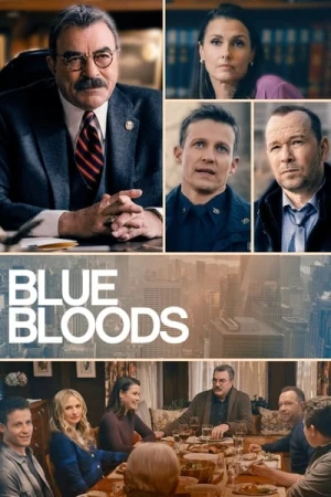  Blue Bloods - Saison 13 affiche 