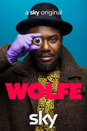  Wolfe - Saison 1 affiche 
