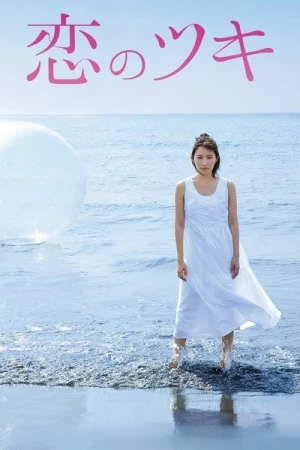  Love and Fortune - Saison 1 affiche 