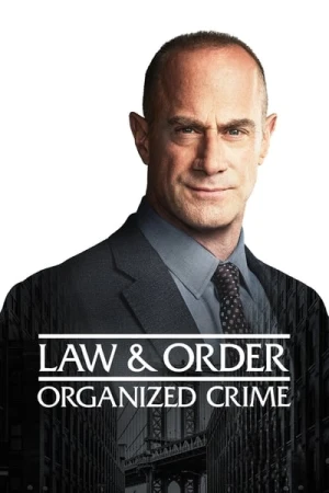  New York : Crime Organisé - Saison 2 affiche 