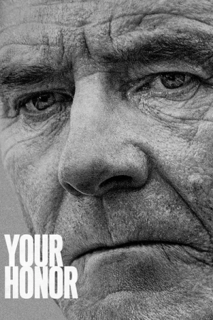  Your Honor - Saison 1 affiche 
