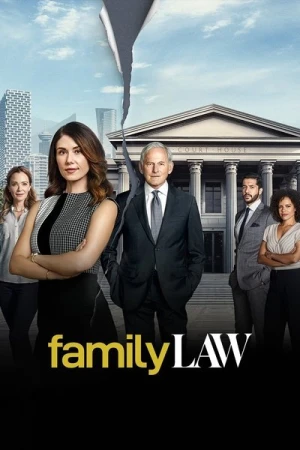 Family Law (CA) - Saison 1 affiche 