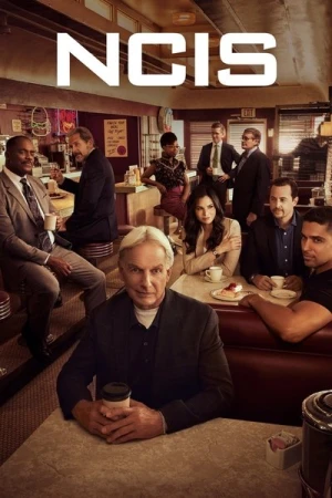  NCIS : Enquêtes Spéciales - Saison 19 affiche 