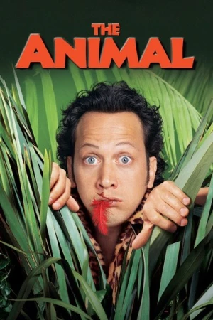  Animal ! L'animal affiche 