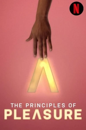  Les Principes du Plaisir - Saison 1 affiche 