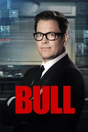  Bull - Saison 6 affiche 