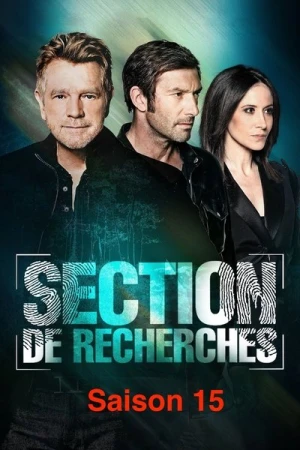  Section de Recherches - Saison 15 affiche 