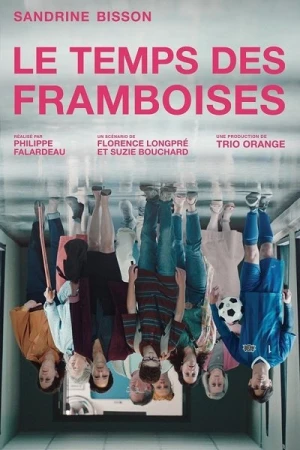  Le Temps Des Framboises - Saison 1 affiche 